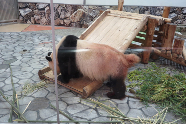 aw0802.jpg