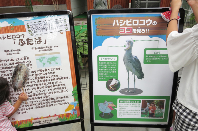 kk15-3.jpg